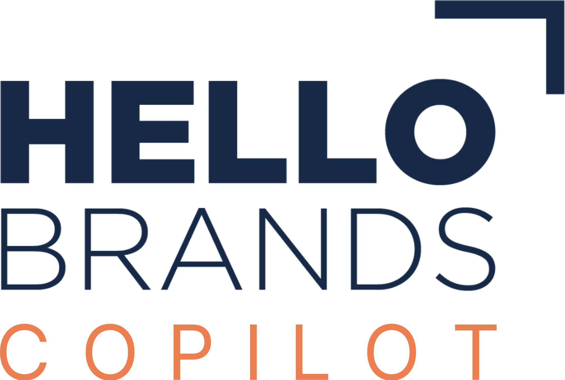 Hello Brands Copilot